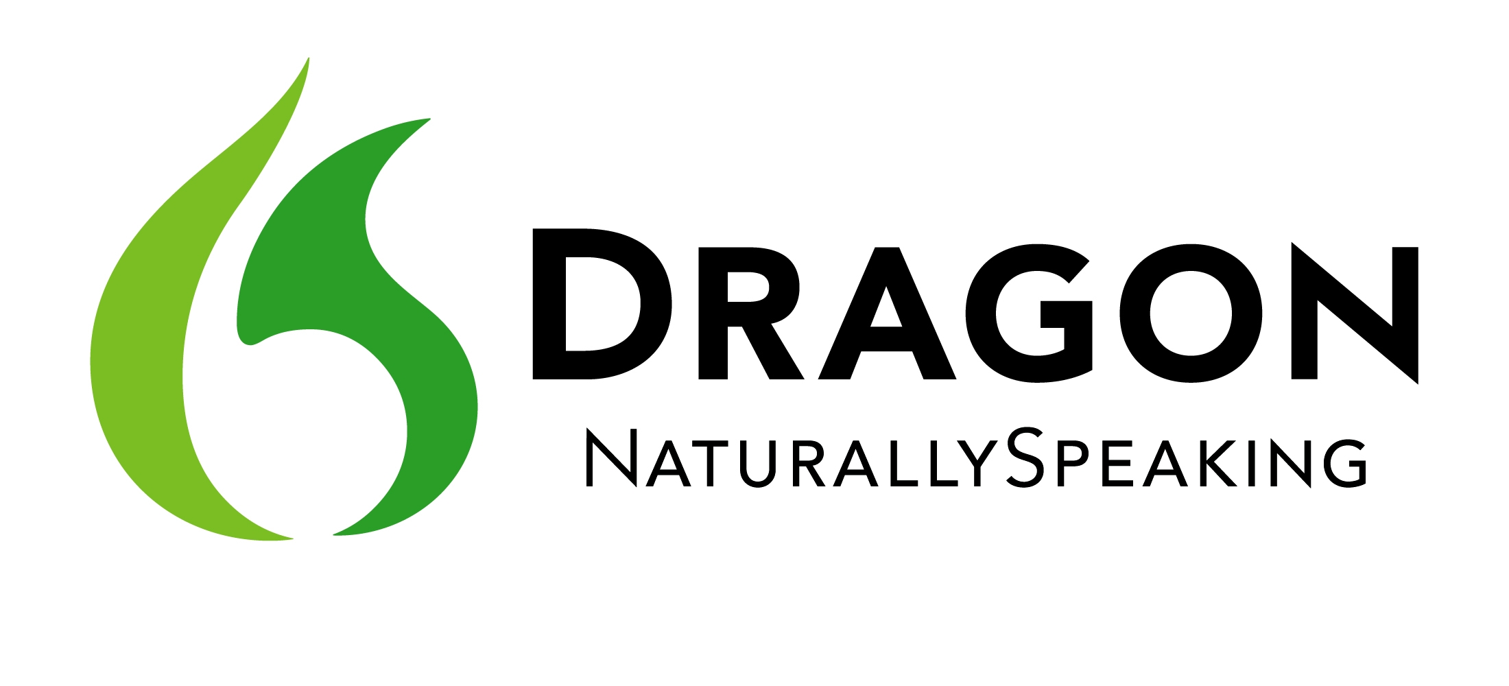Dragon naturallyspeaking hkj